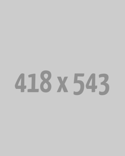 Construcție website